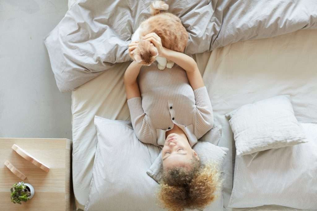 Light orange and white cat lying on woman lying in bed with white bedding first thing in morning before woman gets up for the day. Light wood colored nightstand to the left of the bed with a small plant and other items on top. Light orange and white cat lying on woman lying in bed with white bedding first thing in morning before woman gets up for the day. Light wood colored nightstand to the left of the bed with a small plant and other items on top.