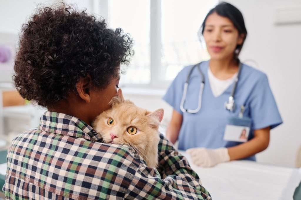 Scared orange tabby cat at vet clinic to look at acne on chin. Person holding cat wearing a green, black, brown and white plaid long sleeved shirt with woman vet wearing blue scrubs, white shirt underneath and stethoscope and window in background.