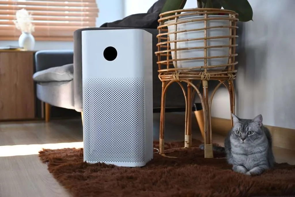 Silver tabby cat laying on brown faux rug next to white air purifier in living room with gray couch. Wood wicker plant holder with green plant on top and vase and blinds in the background.             