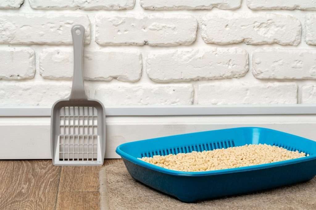 Blue plastic cat litter box with pellet litter inside in bathroom on wood floor and protective mat underneath. Clean gray litter scooper against the white brick wall standing on floor.