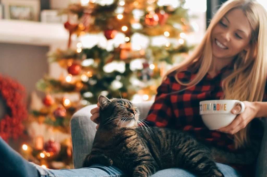 Brown tabby cat laying on woman’s lap sitting in chair while woman is wearing red and black plaid shirt, blue jeans and dark colored socks and is holding white cup and blurred Christmas tree in background.
