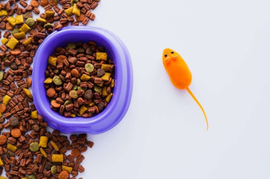 Top view of purple plastic bowl with cat food inside and outside around bowl, near orange rubber toy mouse with a white background.