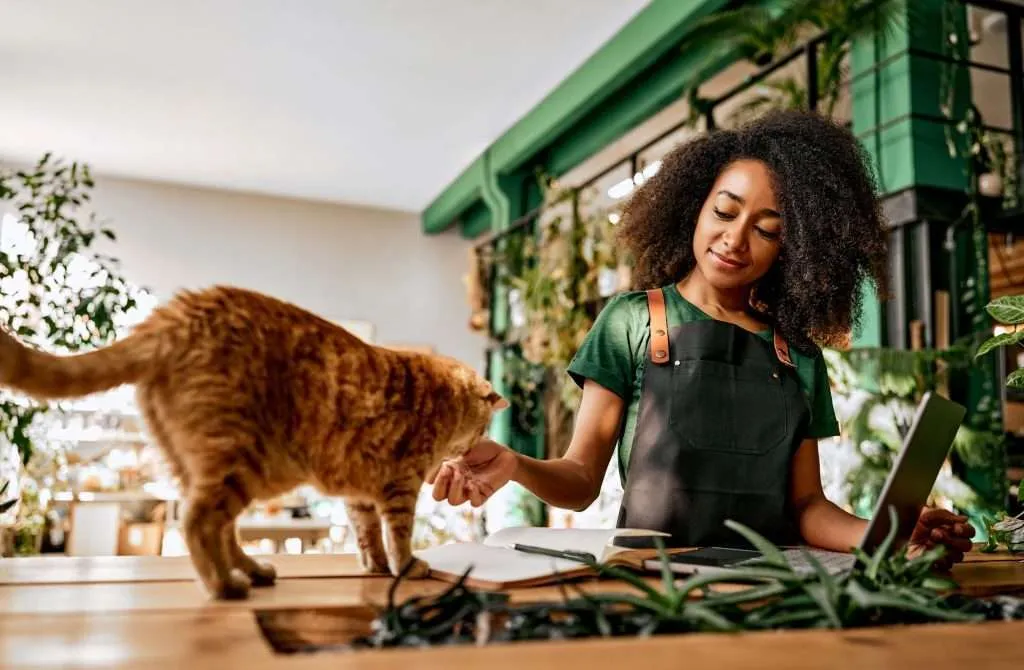 Orange tabby cat getting treat from woman's hand while woman is at work. Woman is wearing a Kelly green short sleeve shirt and black apron with red tan leather straps and snaps. Work background is blurred with plants and green and white painted walls.
