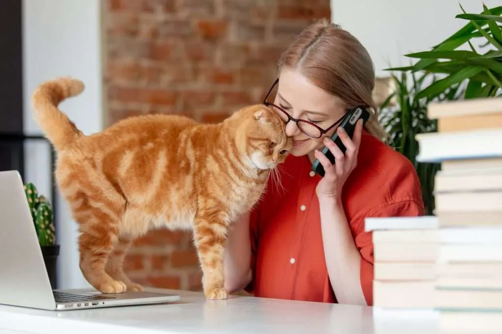 Woman sitting at table with a orange tabby cat and working in her home office while on phone. Books to the right on the table and laptop in front of redhead woman wearing glasses and orange shirt.