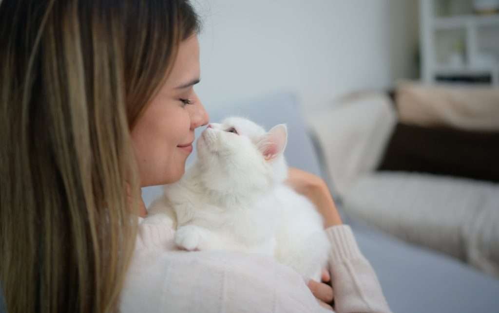 A blonde haired woman wearing a beige sweater is holding her white Persian cat while cat is looking up at her face and almost nose to nose. Furniture is blurred in background.