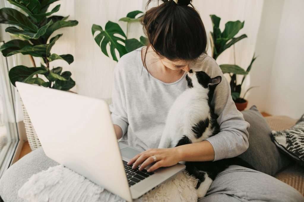 Dark haired woman wearing light gray sweatshirt touching nose with her black and white cat's nose and working on laptop while sitting on light colored gray chair with green plants in background and white walls.