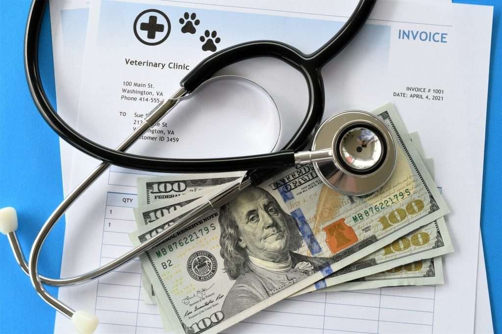Cat insurance - Stethoscope, on top of vet clinic invoices underneath and one hundred dollar bills on top of invoices. Cat veterinarian clinic.