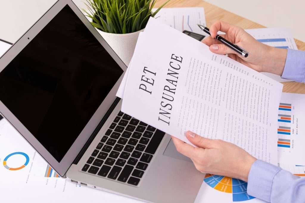 Pet insurance paperwork being held by two hands with a black pen in one above laptop sitting on the desktop. Green plant to the right of the laptop and more paperwork all underneath cluttered on desk.