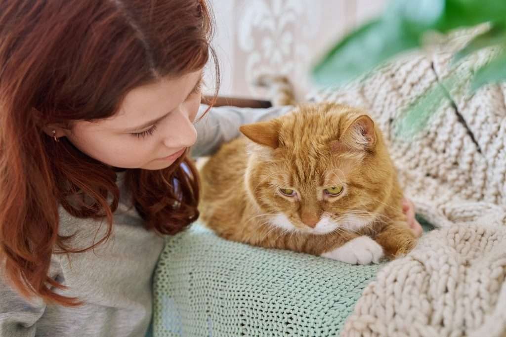 Young girl with red hair and light gray shirt looking down to the left at orange and white tabby cat looking down with yellow eyes. Cat is laying on a light green and beige kitted blanket with background blurred.
