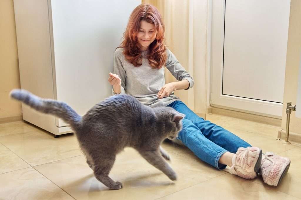 Red haired teenage girl playing with gray cat at home, sitting on the eggshell white tiled floor with cat toy. Young girl is wearing light colored gray shirt, blue jeans and pink and white house slippers. Red haired teenage girl playing with gray cat at home, sitting on the eggshell white tiled floor with cat toy. Young girl is wearing light colored gray shirt, blue jeans and pink and white house slippers.