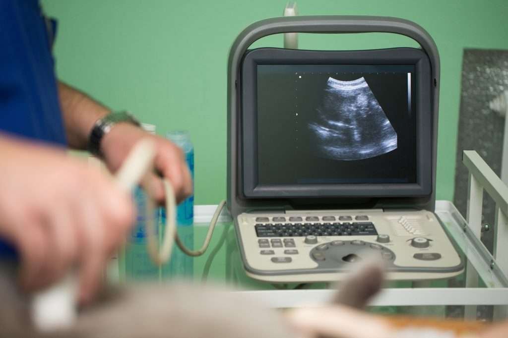 The vet does an ultrasound on cat in clinic with ultrasound machine in background with a green wall behind it.
