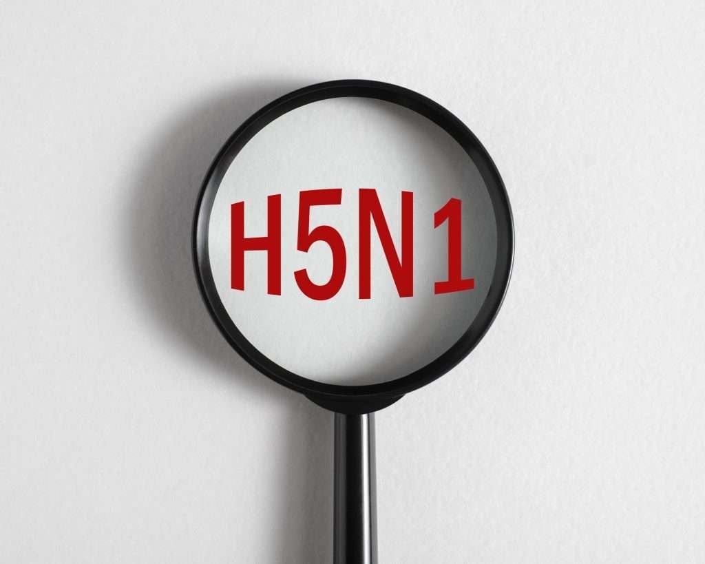 Bird flu virus, disease concept for keeping watch. Magnifier focused on H5N1in red print, close-up on white background.