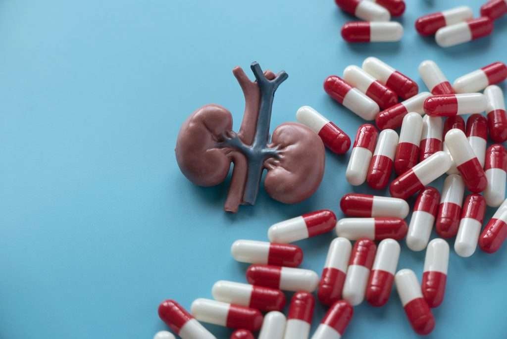 Picture of mini kidneys and red and white capsules laying around on a light blue background.