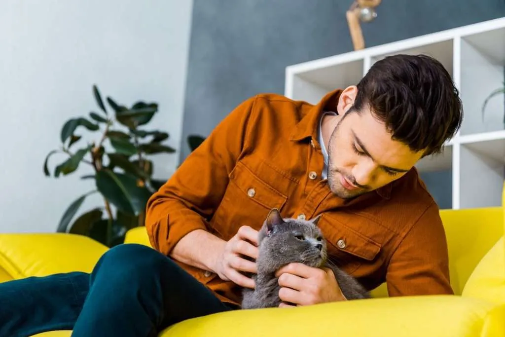 Man wearing orange button down long sleeve shirt and dark blue jeans  leaning and petting cat on yellow sofa in living room. Tall rubber tree in background with gray walls and white cubed shelving.