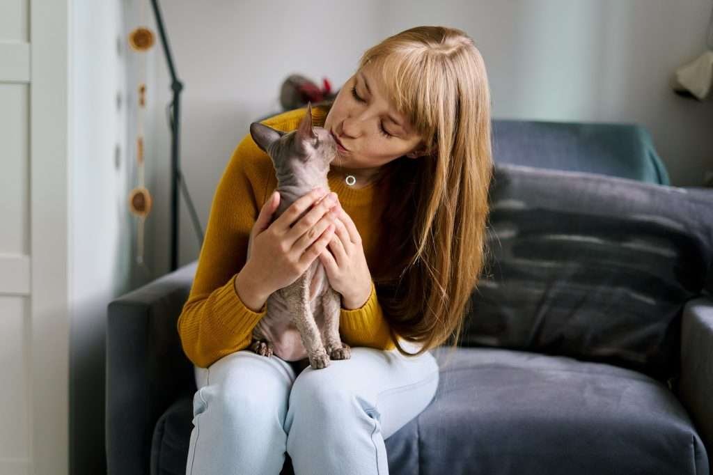 Woman with blonde hair and wearing dark mustard colored sweater and light blue jeans is kissing and holding sphynx gray cat sitting her lap. Woman is sitting on dark gray couch with blurred background and white walls.