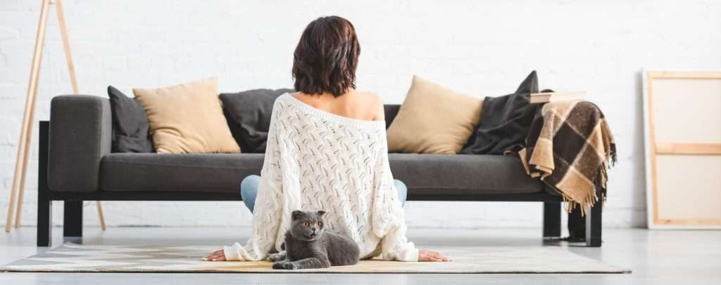 rear view of woman sitting on floor with scottish fold cat