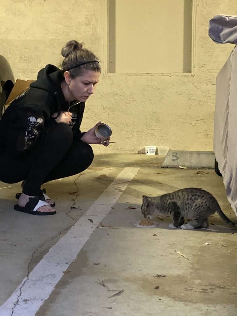 Baby Isaac a male brown tabby kitten with white paws, chest and black spots eating wet food on plastic lid in carport with brunette woman wearing black clothing crouched down watching him within a foot from him.