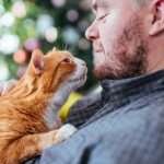 Orange and white cat laying on its owner wearing gray shirt and has facial hair looking down at cat with blurred background.