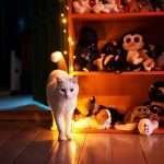 White cats. White cat walking in room with light toys in background.