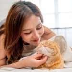 Woman laying with orange and white tabby cat scratching cat's chin of to make it relax and happy. Window in the background.