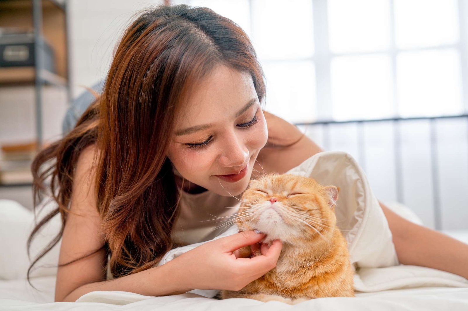 Woman laying with orange and white tabby cat scratching cat's chin of to make it relax and happy. Window in the background.