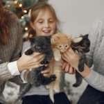 Family at home with little cats