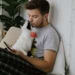 Cute cat playing and kissing owner and attracting attention from smartphone
